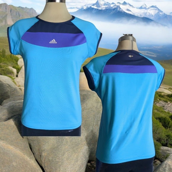 Adidas Climate. Blue and Purple Sport Top Size L - Picture 8 of 16